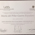 Acercar imagen: certificate 5