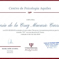 Acercar imagen: certificate 12