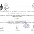 Acercar imagen: certificate 3