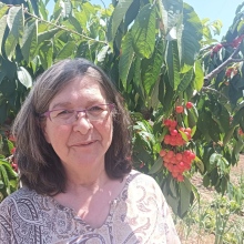 Acercar imagen: Montserrat Hernandez Hernandez, Terapeuta complementario Barbastro