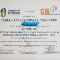 Acercar imagen: certificate 2