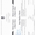 Acercar imagen: certificate 3