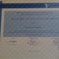 Acercar imagen: certificate 2