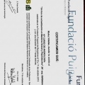 Acercar imagen: certificate 13