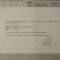 Acercar imagen: certificate 11
