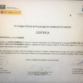 Acercar imagen: certificate 14