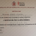 Acercar imagen: certificate 9