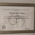 Acercar imagen: certificate 5