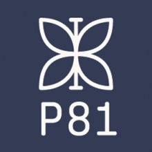 Psicólogos Princesa 81