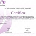 Acercar imagen: certificate 8