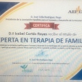Acercar imagen: certificate 5