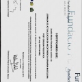 Acercar imagen: certificate 10