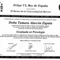 Acercar imagen: certificate 2