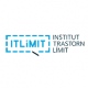 ITLimit-TLP, Instituto Trastorno Límite