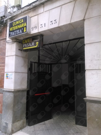 Inmaculada Aguilera Rodríguez-1