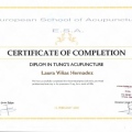 Acercar imagen: certificate 3