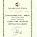 Acercar imagen: certificate 11