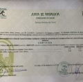Acercar imagen: certificate 11