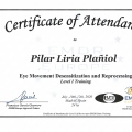 Acercar imagen: certificate 1