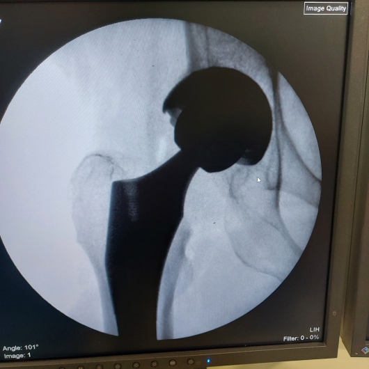 Joris Van Der Lugt-0