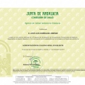 Acercar imagen: certificate 4