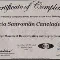 Acercar imagen: certificate 24