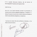 Acercar imagen: certificate 20