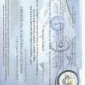 Acercar imagen: certificate 43