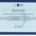 Acercar imagen: certificate 14
