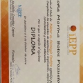 Acercar imagen: certificate 9