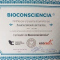 Acercar imagen: certificate 3