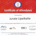 Acercar imagen: certificate 31