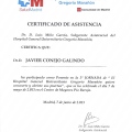Acercar imagen: certificate 17