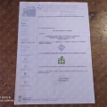 Acercar imagen: certificate 10
