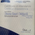 Acercar imagen: certificate 3