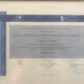 Acercar imagen: certificate 5