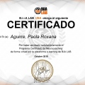 Acercar imagen: certificate 2