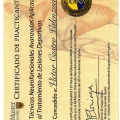 Acercar imagen: certificate 37