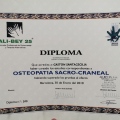 Acercar imagen: certificate 14