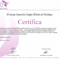 Acercar imagen: certificate 6