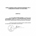 Acercar imagen: certificate 29