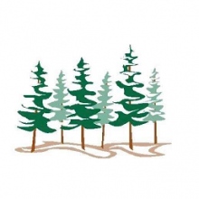 Acercar imagen: Miguel Ángel López Parral, Dentista Madrid