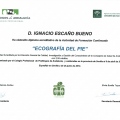 Acercar imagen: certificate 15