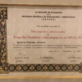 Acercar imagen: certificate 9