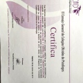 Acercar imagen: certificate 13
