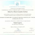 Acercar imagen: certificate 14