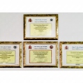 Acercar imagen: certificate 5