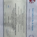 Acercar imagen: certificate 4