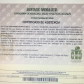 Acercar imagen: certificate 22