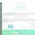 Acercar imagen: certificate 7